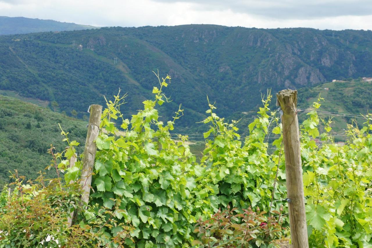 شقة O Forno Casa Ferrador Ribeira Sacra Sober المظهر الخارجي الصورة